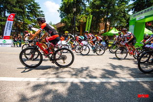 感受千年古都魅力 台湾精品美利达杯国际自行车邀请赛